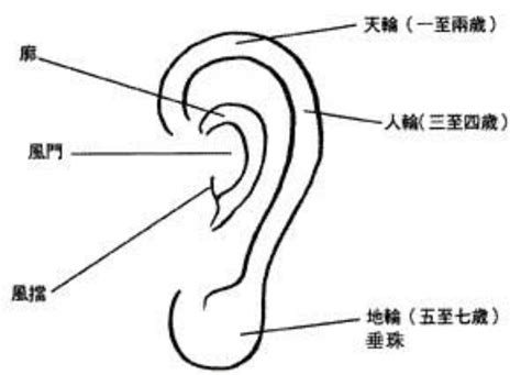 耳朵白 面相|面相入门